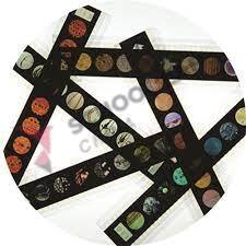 Micro Slide Set - Cells of Plants - Pack of 10